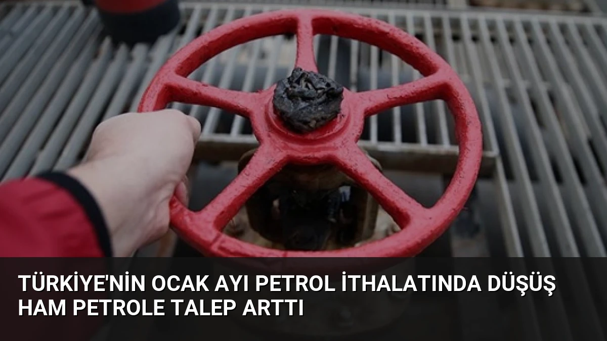 Türkiye’nin Ocak Ayı Petrol İthalatında Düşüş Ham Petrole Talep Arttı