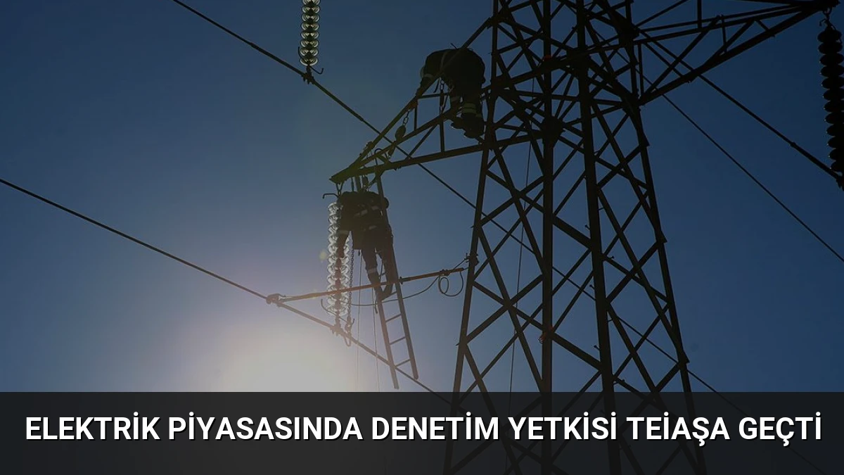 Elektrik Piyasasında Denetim Yetkisi TEİAŞa Geçti