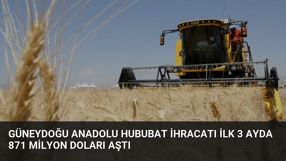 Güneydoğu Anadolu Hububat İhracatı İlk 3 Ayda 871 Milyon Doları Aştı