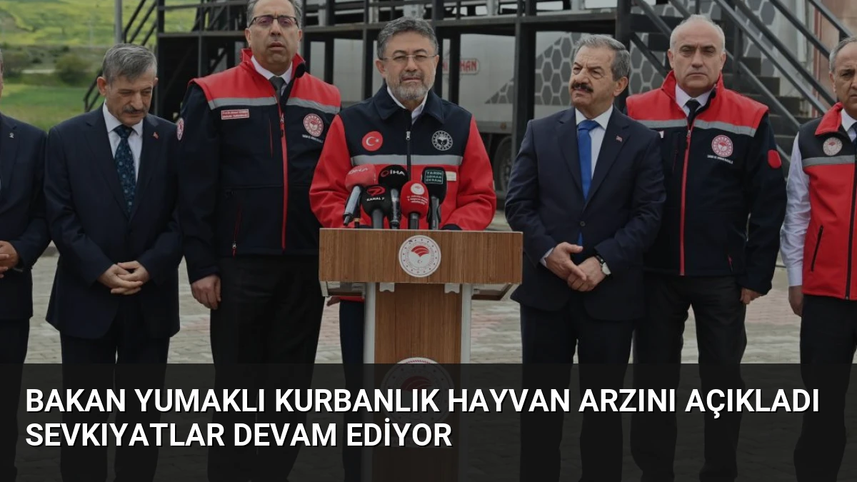 Bakan Yumaklı Kurbanlık Hayvan Arzını Açıkladı Sevkıyatlar Devam Ediyor