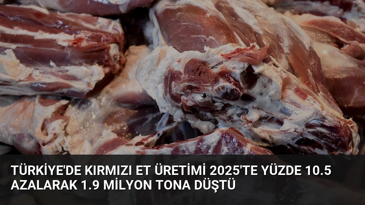 Türkiye’de Kırmızı Et Üretimi 2025’te Yüzde 10.5 Azalarak 1.9 Milyon Tona Düştü