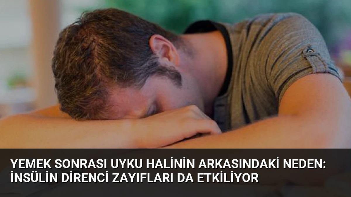Yemek Sonrası Uyku Halinin Arkasındaki Neden: İnsülin Direnci Zayıfları da Etkiliyor