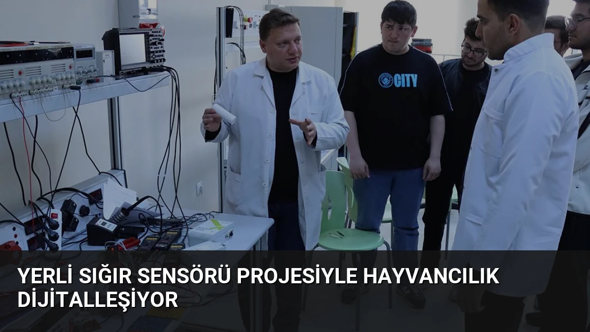 Yerli Sığır Sensörü Projesiyle Hayvancılık Dijitalleşiyor
