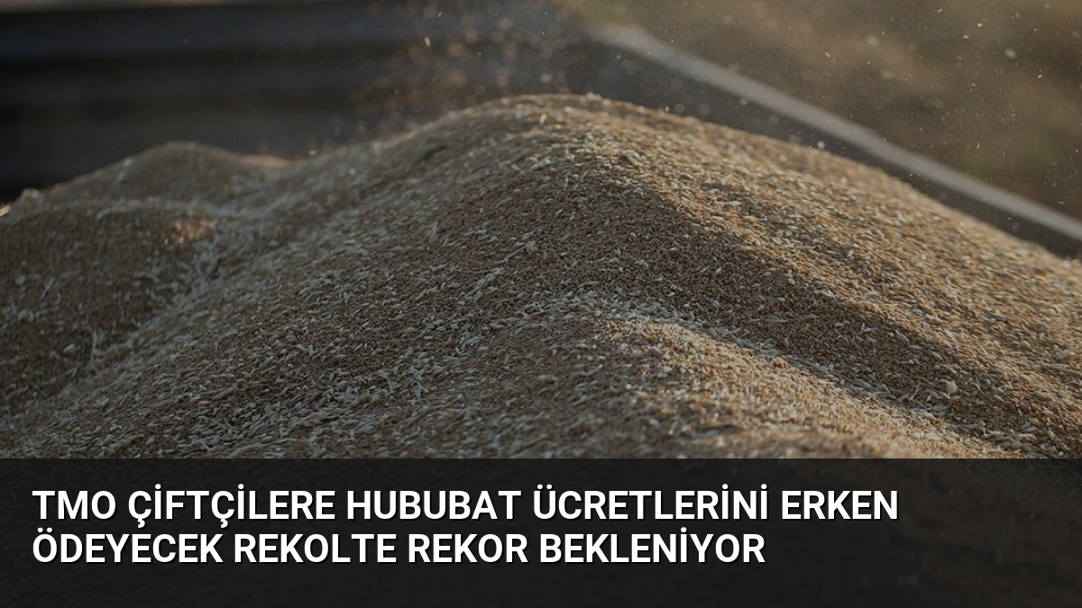 TMO Çiftçilere Hububat Ücretlerini Erken Ödeyecek Rekolte Rekor Bekleniyor