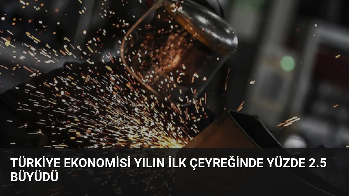 Türkiye Ekonomisi Yılın İlk Çeyreğinde Yüzde 2.5 Büyüdü