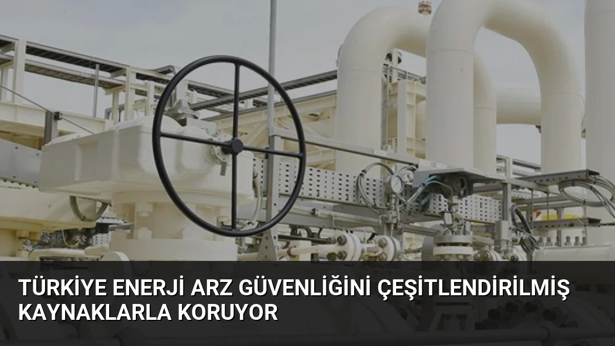 Türkiye Enerji Arz Güvenliğini Çeşitlendirilmiş Kaynaklarla Koruyor