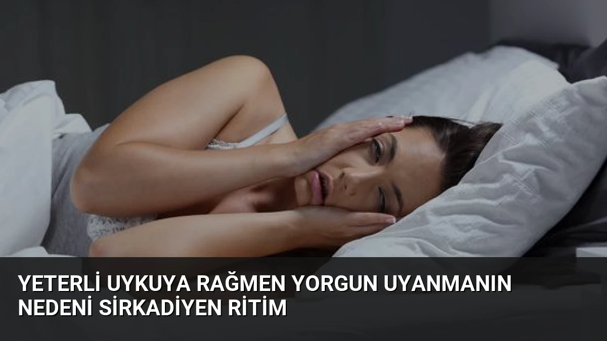 Yeterli Uykuya Rağmen Yorgun Uyanmanın Nedeni Sirkadiyen Ritim