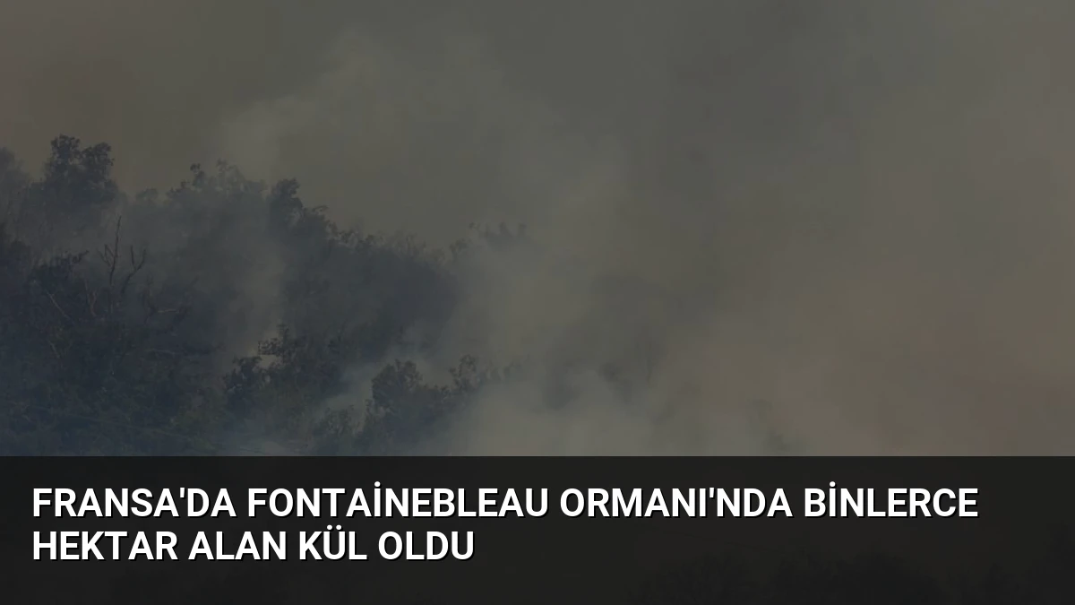 Fransa’da Fontainebleau Ormanı’nda Binlerce Hektar Alan Kül Oldu