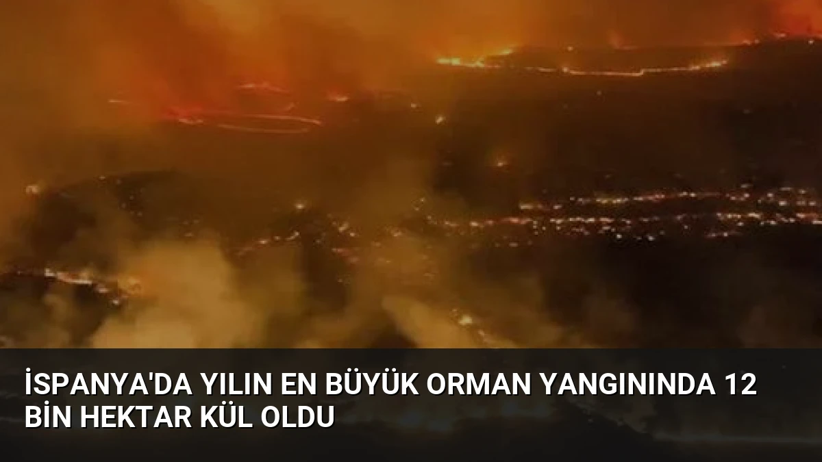 İspanya’da Yılın En Büyük Orman Yangınında 12 Bin Hektar Kül Oldu